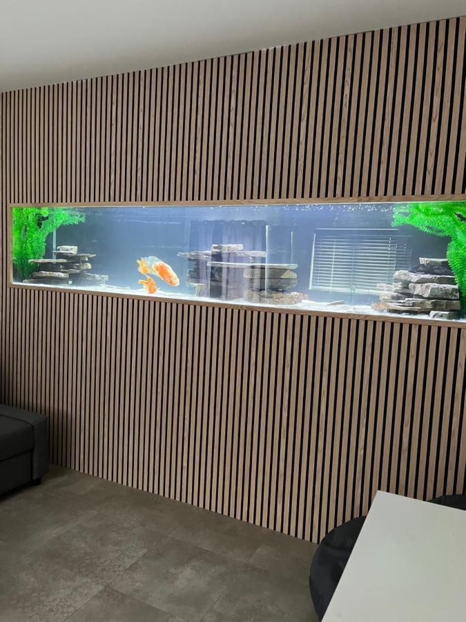 Terfyn Hall Aquarium Apartment 1 Prestatyn Ngoại thất bức ảnh